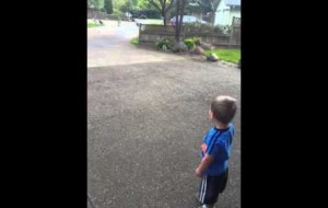 Little 2 year old boy talks to turkeys