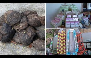 Making recycled paper from elephant poo